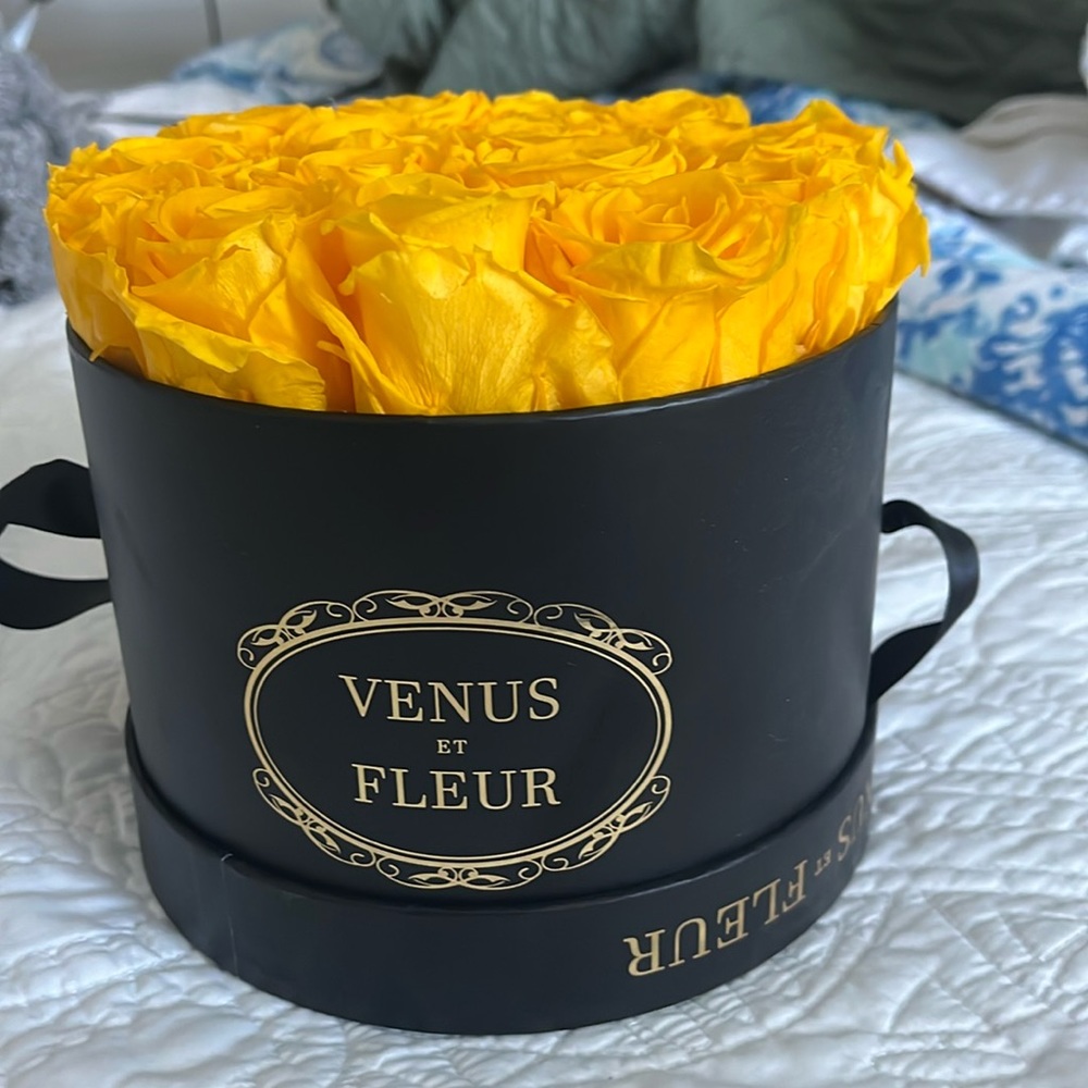 Venus ET Fleur Yellow Roses with Black Circle Vase
